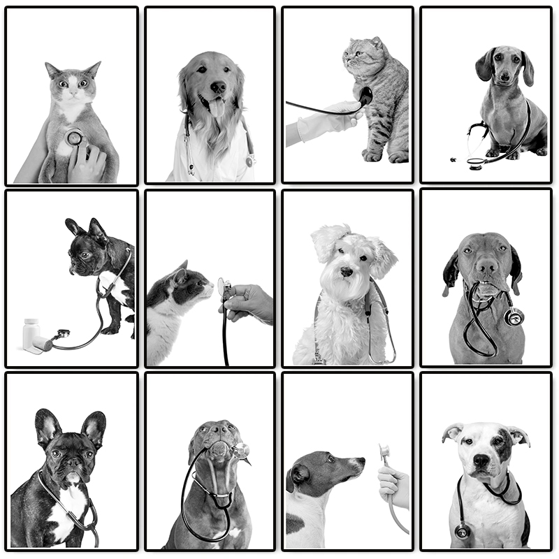 Stethoscope - 動物医師の獣医ポスター、聴診器を持った犬と猫のキャンバス絵画、壁アート、獣医事務所、動物病院の装飾